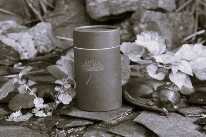 Peut-on enterrer son animal de compagnie décédé dans son jardin ?