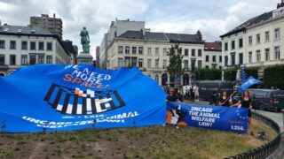 En direct : L214 et Invader s’unissent pour les animaux à Bruxelles