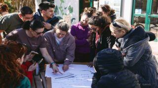 Planimalia consulting : quand la gestion de crise intègre les animaux