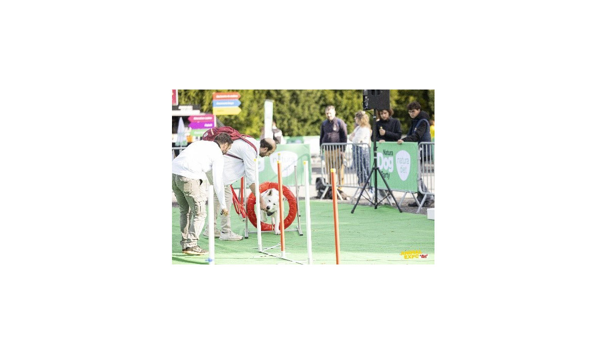 Animal Expo – Animalis Show 2025 – 35 000 visiteurs, plus de 500 chiens et des milliers de sourires !