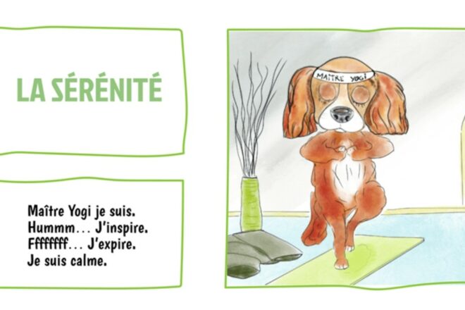 Chien comme chat, un album jeunesse sur les émotions mais pas que…
