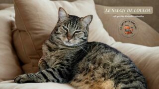 A la hauteur de Loulou