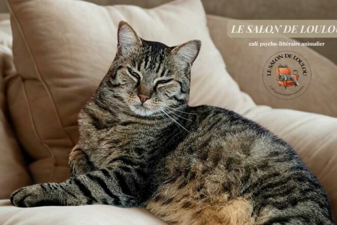 A la hauteur de Loulou