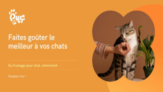 Purr, votre chat va adorer !