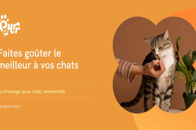 Purr, votre chat va adorer !