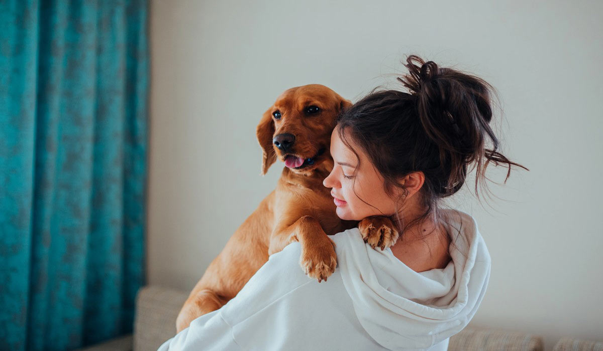 Nouveaux modèles familiaux : 74% des Français sans enfant considèrent former une famille avec leur animal Nouveaux modèles familiaux : 74% des Français sans enfant considèrent former une famille avec leur animal