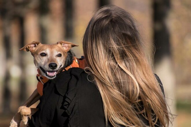 La prise en compte des intérêts de l’animal en cas de séparation de ses détenteurs, en France et aux Etats-Unis