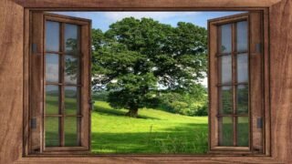 Sécurisation de la chasse : One Voice dénonce un énième écran de fumée