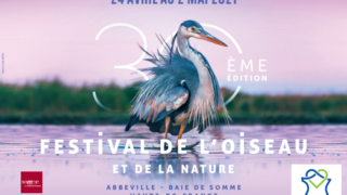 Covid oblige, le 30ème Festival s’adapte !