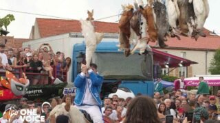 Têtes d’animaux arrachées : One Voice révèle ses images d’enquête sur le jeu du cou de l’oie