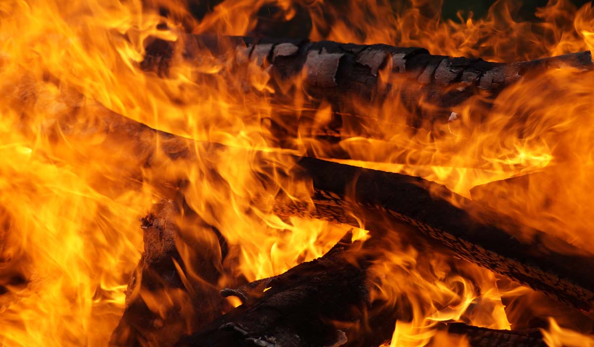 Incendies de Fontainebleau : face à l’urgence, l’association FUTUR organise une mobilisation citoyenne exceptionnelle pour venir en aide aux animaux Incendies de Fontainebleau : face à l’urgence, l’association FUTUR organise une mobilisation citoyenne exceptionnelle pour venir en aide aux animaux