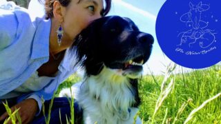 Formation savoir être chez écrin liberté