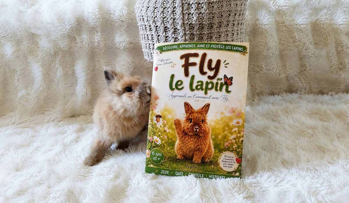 Fly le lapin : un livre pour apprendre à comprendre et protéger les lapins Fly le lapin : un livre pour apprendre à comprendre et protéger les lapins