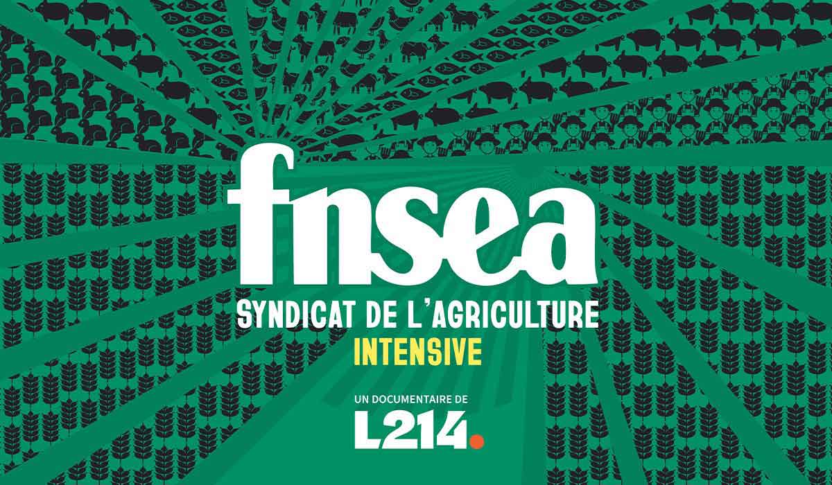 L214 dévoile une série documentaire inédite sur la FNSEA