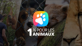 YLG est la première entreprise labellisée 1% pour les animaux !
