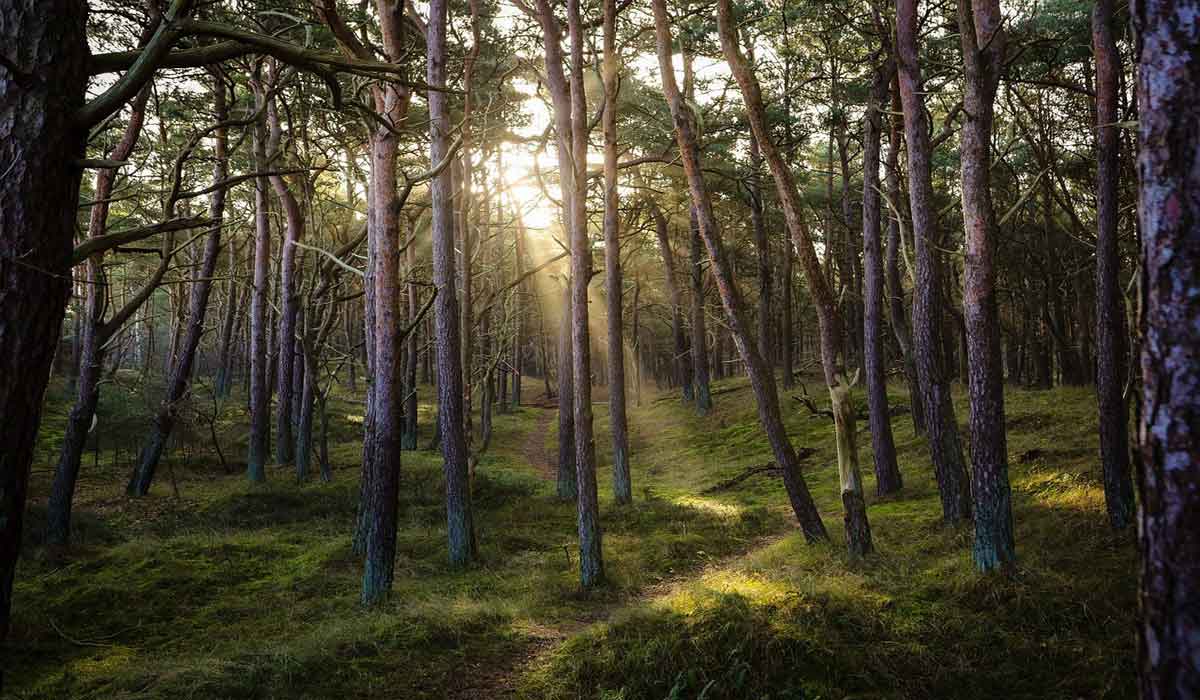 Alerte sur l’inaction pour la biodiversité et les animaux : l’Etat français dans le viseur