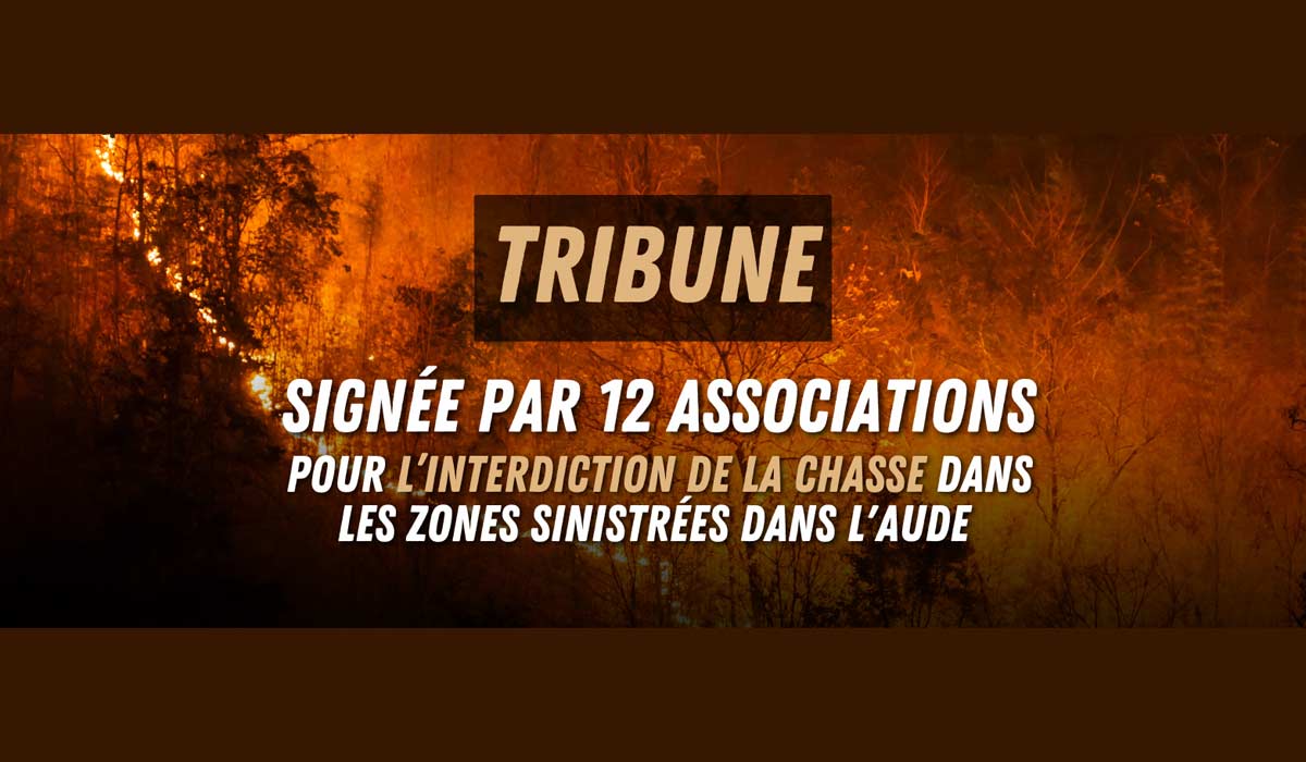 Tribune : Stop à la chasse après les incendies