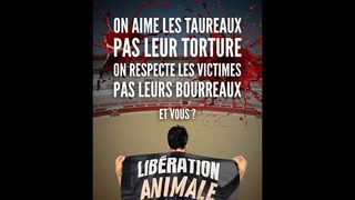 Béziers : riposte satirique sur les murs face aux provocations de Robert Ménard