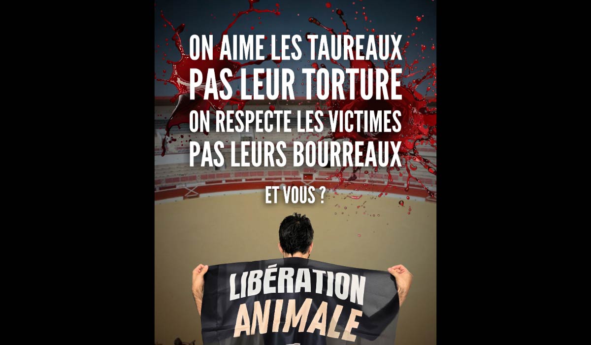 Béziers : riposte satirique sur les murs face aux provocations de Robert Ménard