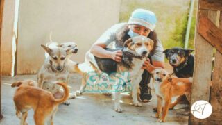 Gasy Animal Aid, une association en soutien à la cause animale à Madagascar
