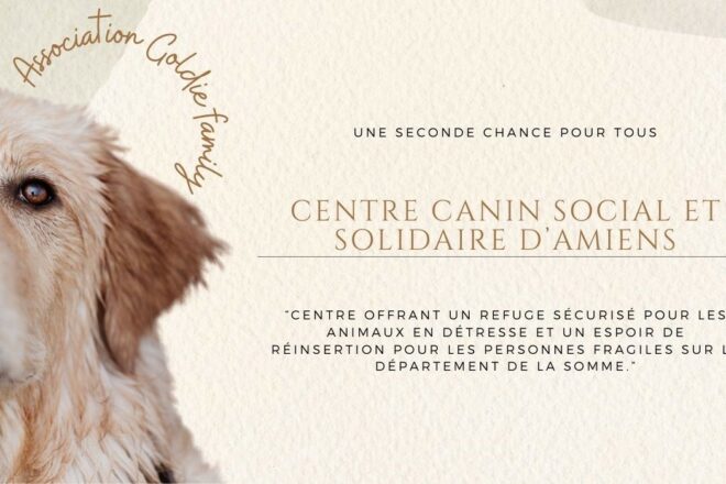 Goldie Family, association caritative et de protection animale