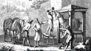 Claude Bourgelat, un homme des Lumières au service des animaux