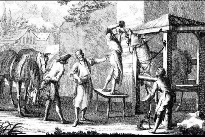 Claude Bourgelat, un homme des Lumières au service des animaux