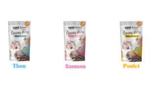 Eté gourmand et rentrée complice avec les Creamy Sticks Hamiform, la friandise à lécher qui fait ronronner les chats…