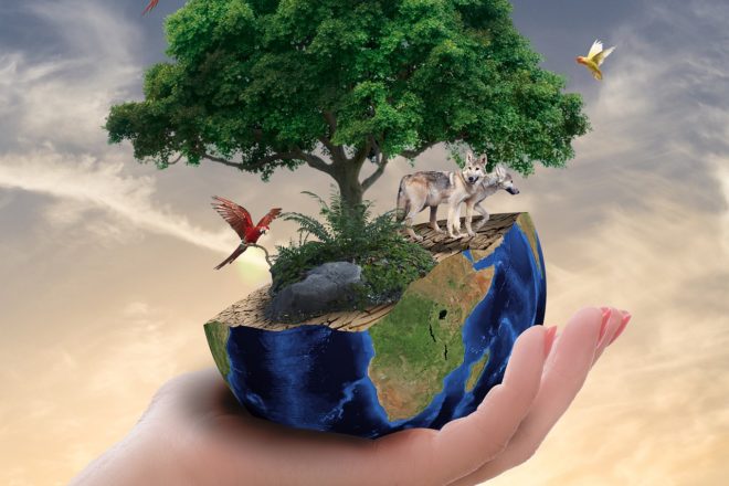 L’animalisme, composante essentielle de l’écologie politique