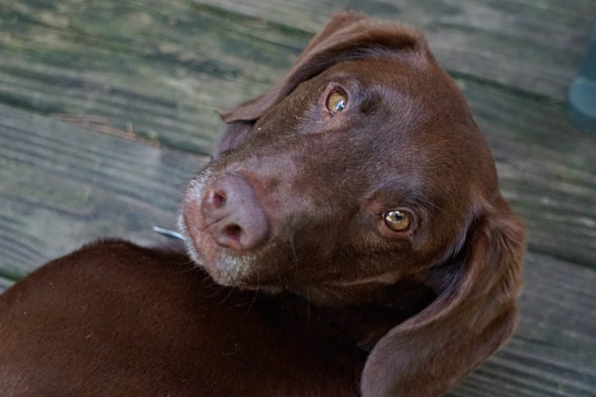Happy Impact – L’association qui donne de la voix à vos projets