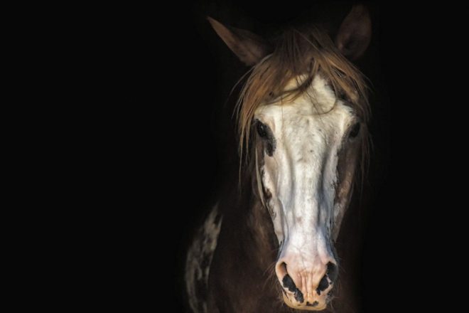 Un principe clef : pas d’abdominaux, pas de dos