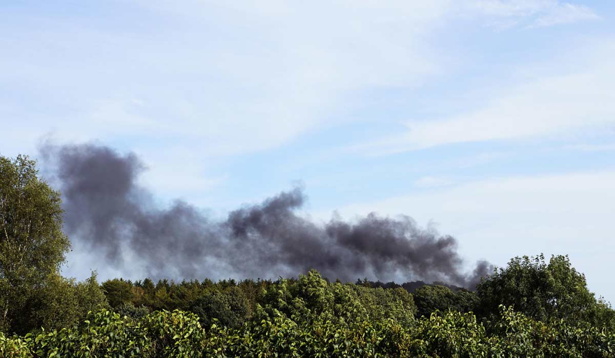 Incendies en Gironde : le Fichier National I-CAD rappelle les gestes essentiels pour protéger son animal