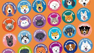 Wafinu, des sourires pour aider les chiens et les chats derrière les barreaux