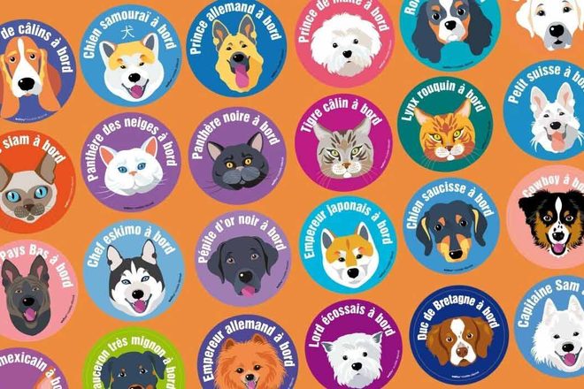 Wafinu, des sourires pour aider les chiens et les chats derrière les barreaux