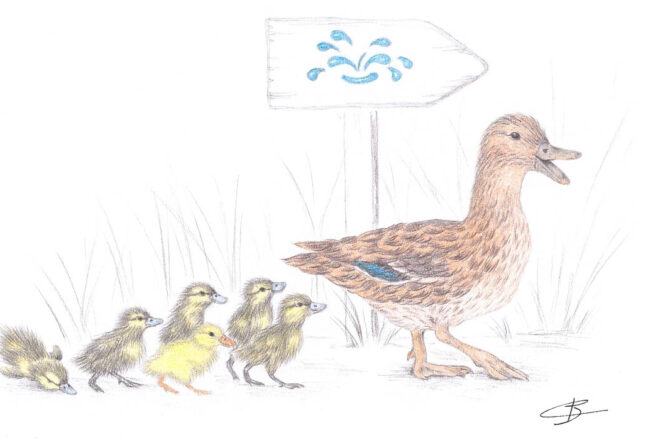 Des illustrations animalières comme un miroir de nous-mêmes