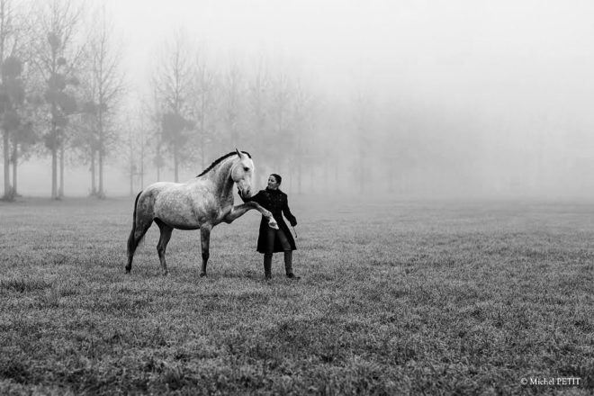 Le cheval, un outil ou un maître ?