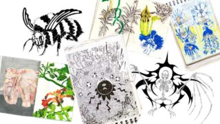 Message d’une passionnée de plumes et de pattes de mouches