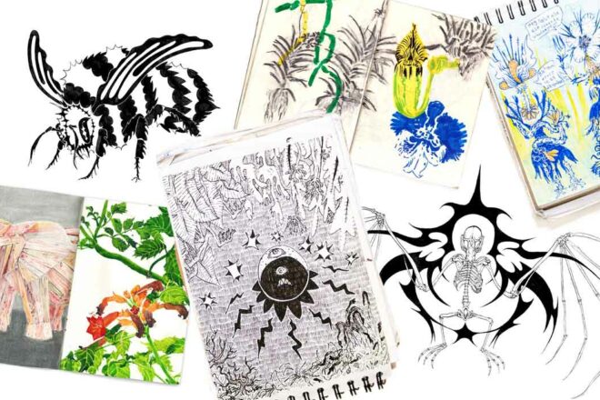 Message d’une passionnée de plumes et de pattes de mouches