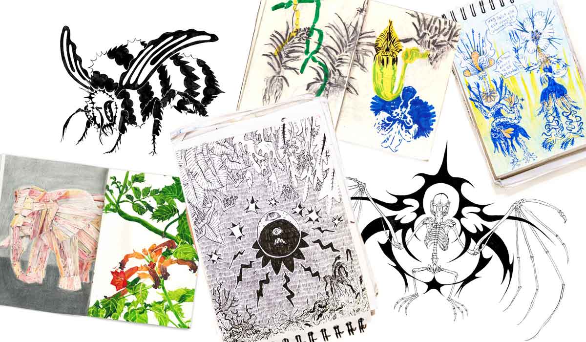 Message d’une passionnée de plumes et de pattes de mouches