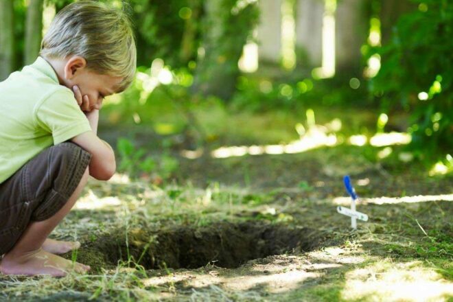 Quand nos compagnons meurent : un angle mort