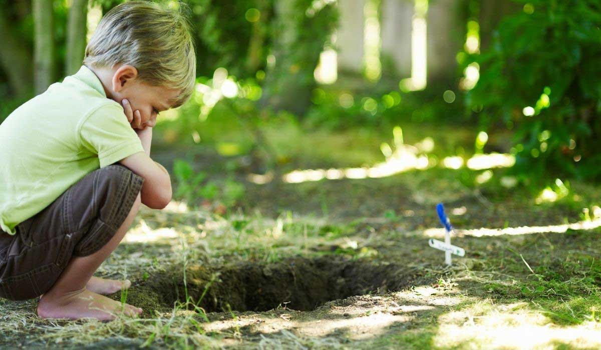 Quand nos compagnons meurent : un angle mort