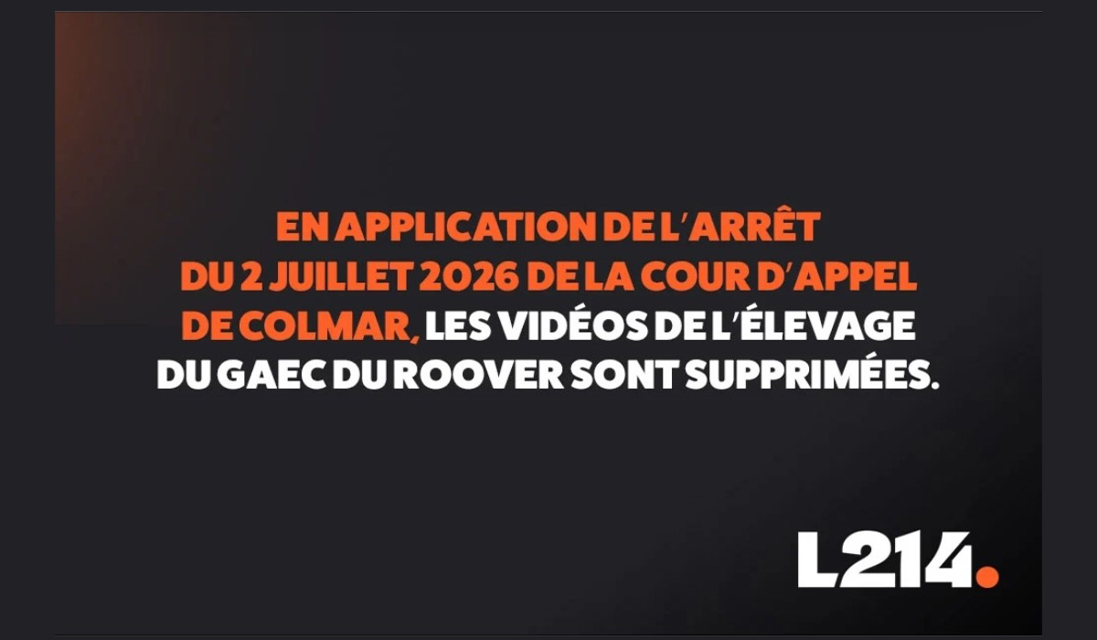 Procédure-bâillon : L214 condamnée à retirer ses vidéos d’un élevage sous contrat avec Herta