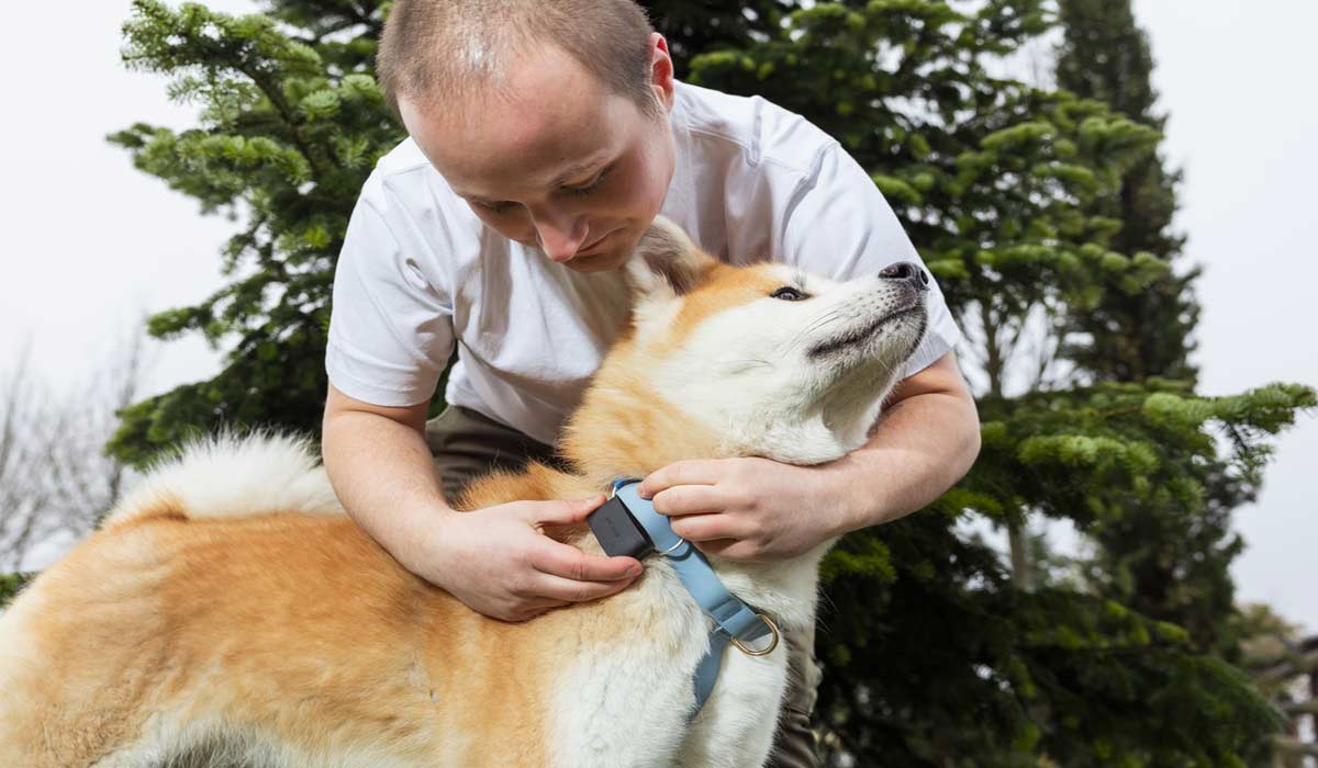 INVOXIA Biotracker GPS : bien plus qu’un GPS, un capteur intelligent pour la santé et le bien-être des chiens