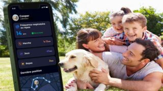 A Noël, même les chiens ont le droit à leur smartwatch
