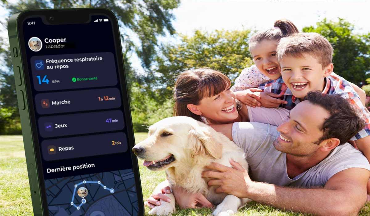A Noël, même les chiens ont le droit à leur smartwatch