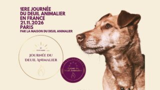 Journée du Deuil Animalier : une première en France pour reconnaître enfin ce deuil invisible