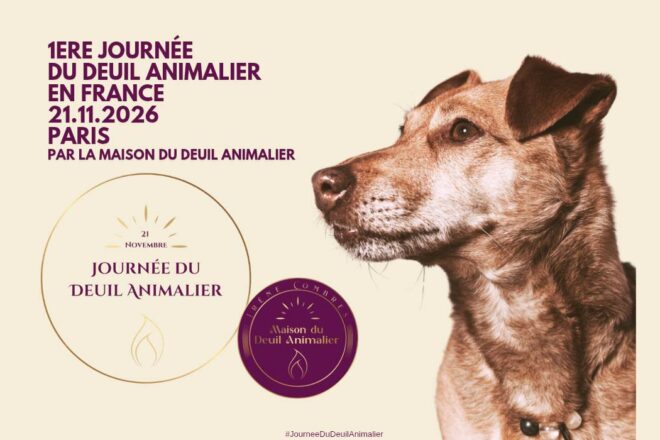Journée du Deuil Animalier : une première en France pour reconnaître enfin ce deuil invisible