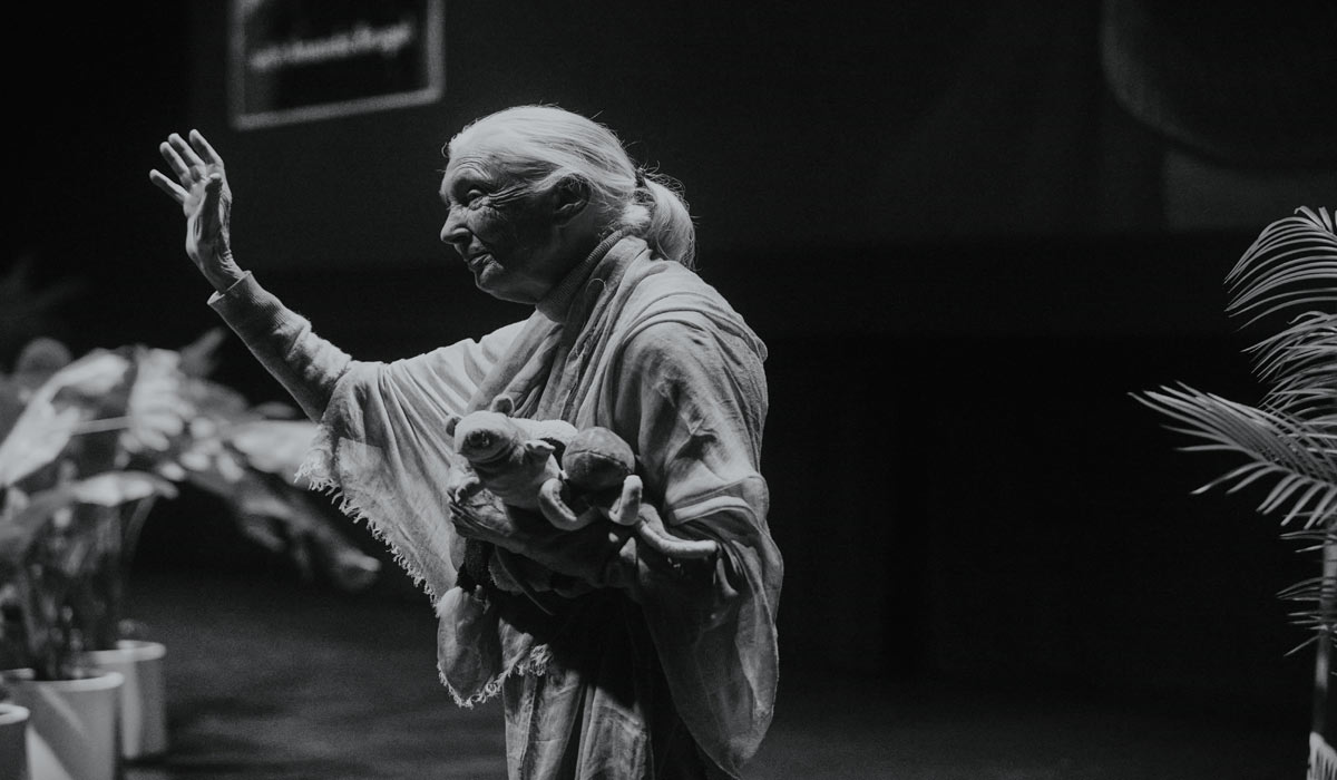 Jane Goodall, éthologue de renom, activiste de l’environnement et de la paix, experte en comportement animal, s’est éteinte à l’âge de 91 ans