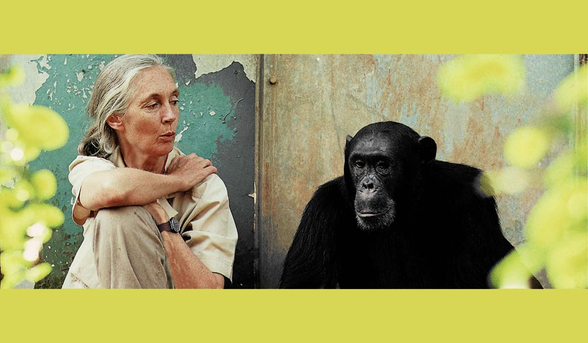 Académie Jane Goodall « Une Voix pour la Planète » : les jeunes qui veulent changer le monde en changeant les lois !