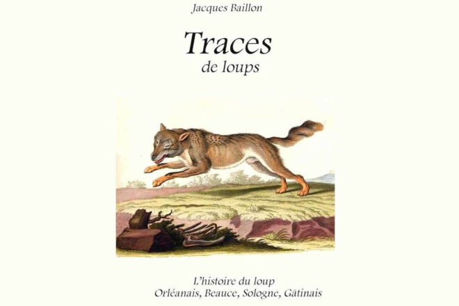 Loup : « potentiellement dangereux » ?